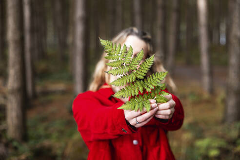 Young woman holding fern leaf in Cannock chase forest - WPEF08114