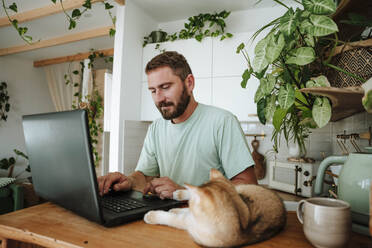 Mann mit Katze benutzt Laptop in der Küche zu Hause - WESTF25324