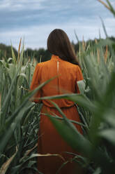 Frau steht inmitten von Maisfeldern - TOF00195