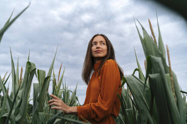 Smiling thoughtful woman amidst corn crops in field - TOF00198