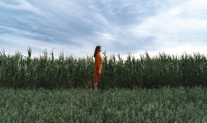 Woman standing by corn crops growing in field - TOF00200