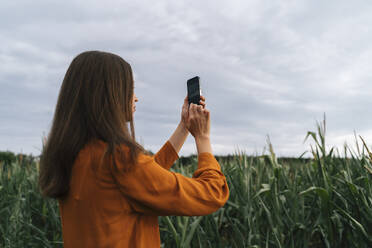 Frau fotografiert Maisfeld mit dem Smartphone - TOF00206