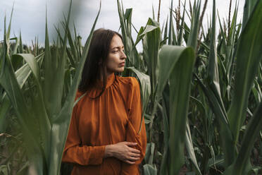 Thoughtful woman standing amidst crops in corn field - TOF00227