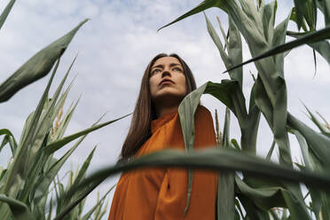 Thoughtful woman amidst crops in field - TOF00228