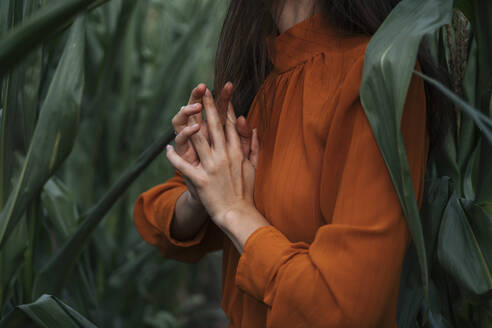 Frau mit gefalteten Händen inmitten von Maispflanzen auf einem Feld - TOF00230