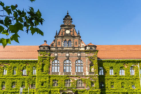 Polen, Woiwodschaft Niederschlesien, Breslau, Überwucherte Fassade des Nationalmuseums - TAMF04089