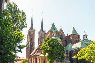 Polen, Woiwodschaft Niederschlesien, Breslau, Kathedrale St. Johannes Baptist im Sommer - TAMF04092