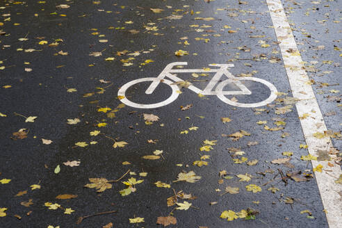 Fallen autumn leaves on asphalt bicycle lane - WIF04699