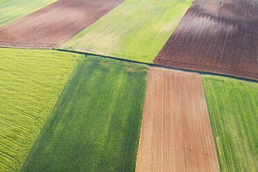 Luftaufnahme eines Flickenteppichs aus landwirtschaftlichen Feldern in verschiedenen Grün- und Brauntönen, der die Muster der ländlichen Landschaft zeigt. - ADSF51881
