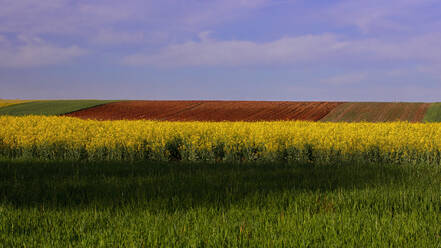 Eine malerische Landschaft mit dem bunten Flickenteppich frühlingshafter landwirtschaftlicher Felder unter einem strahlend blauen Himmel. - ADSF51883
