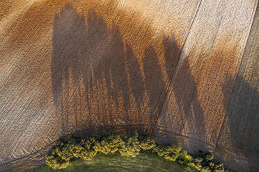 An aerial shot capturing the varying textures and patterns of a rural agricultural landscape with shadows of trees. - ADSF51884