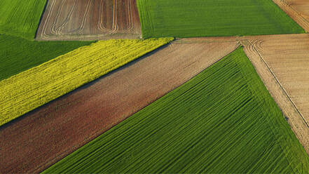 Luftaufnahme von landwirtschaftlichen Feldern mit geometrischen Mustern in Grün-, Braun- und Gelbtönen, die das Flickwerk der Natur symbolisieren - ADSF51899