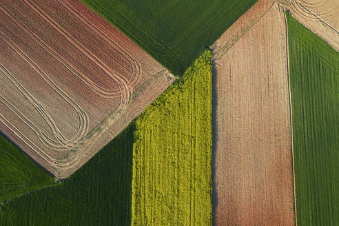 Strukturierte Luftaufnahme von Ackerland mit geometrischen Mustern von gepflügten Feldern in Grün-, Gelb- und Brauntönen - ADSF51900