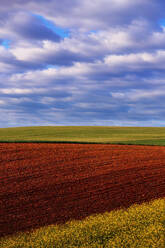 Ruhige Ackerszene mit einem sattbraunen gepflügten Feld im Vordergrund und einem üppig grünen Getreidefeld unter einem wolkenverhangenen Himmel - ADSF51903