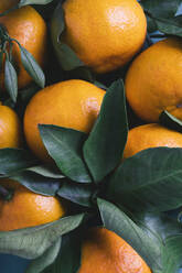 A vibrant close-up of ripe oranges with lush green leaves, full of natural textures and colors. - ADSF52120