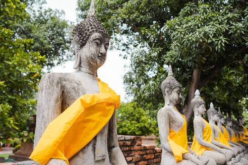 Buddha-Statuen aus Stein in Lotus-Pose, bedeckt mit heiligen traditionellen orientalischen Gewändern, aufgereiht in der Nähe exotischer Bäume im Wat Pho-Tempel in Thailand - ADSF52217