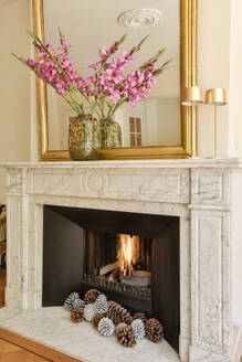 Blumenvase und Spiegel auf dem Kaminsims mit brennendem Feuer im Kamin im Wohnzimmer einer modernen Wohnung - ADSF52256