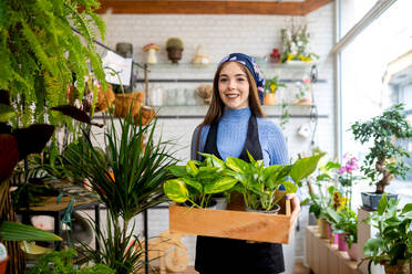 Charmante, glückliche junge Besitzerin in Freizeitkleidung und Kopftuch, die eine Holzkiste mit frischen Geldpflanzen trägt, während sie in der Floristikbranche arbeitet - ADSF52365