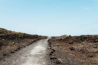 Ein schmaler Pfad führt durch das schwarze, mit kleinen Pflanzen übersäte Vulkangebiet unter dem blassen Himmel von Lanzarote - ADSF52499