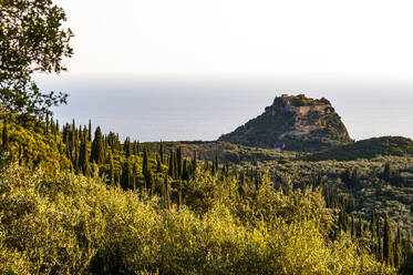 Griechenland, Ionische Inseln, Bäume vor der Burg Angelokastro im Sommer - EGBF01016