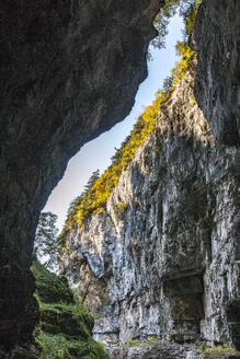 Deutschland, Bayern, Steile Wand der Breitachklamm - EGBF01025