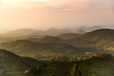 Sri Lanka, Provinz Uva, Bewaldete Hügel in der nebligen Morgendämmerung - EGBF01035