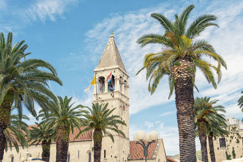 Croatia, Split-Dalmatia County, Trogir, Palm trees in front of Church and Monastery of St. Dominic - TAMF04118