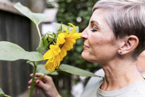 Lächelnde Frau riecht an Sonnenblumen im Garten - WPEF08161