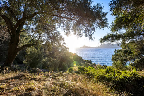 Griechenland, Ionische Inseln, Agios Georgios, Blick vom Hügel auf der Insel Korfu mit Sommersonne im Hintergrund - EGBF01057