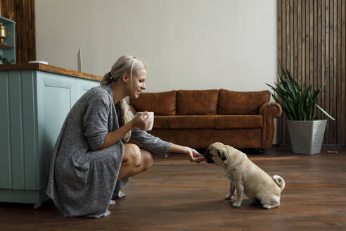 Smiling woman feeding snack to Pug dog in living room at home - EHAF00193