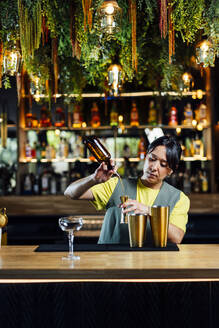 Bartender making cocktail in bar - DAMF01281