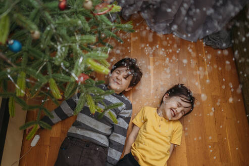Fröhliche Brüder auf dem Boden liegend unter dem Weihnachtsbaum zu Hause - ANAF02650