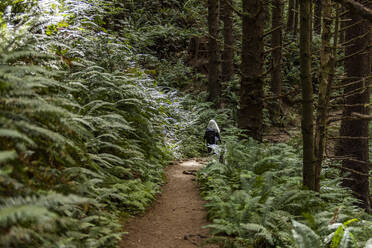 Woman walking on path in forest - TETF02379