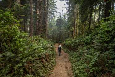 Senior woman hiking in forest with nordic walking poles - TETF02390