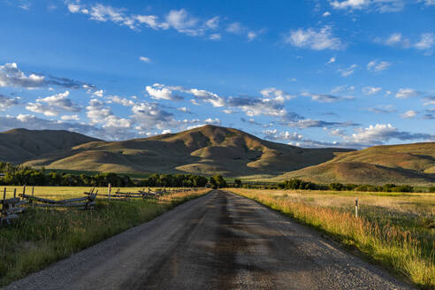 USA, Idaho, Bellevue, Dirt road leading to foothills on summer morning - TETF02404