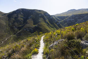 South Africa, Hermanus, Hiking trail in mountains in Fernkloof Nature Reserve - TETF02425