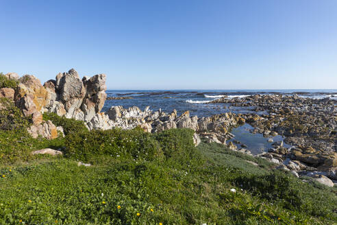 South Africa, Rocky coast and Onrus Beach at sunny day - TETF02427