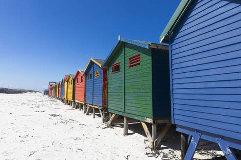 South Africa, Muizenberg, Row of colorful beach huts on Muizenberg Beach - TETF02440