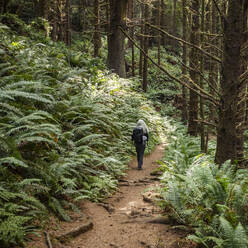 Woman walking on path in forest - TETF02478