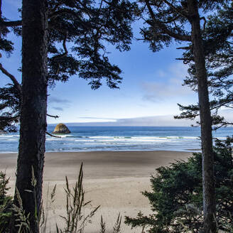 USA, Oregon, Pinienbäume und Felsformation am Cannon Beach - TETF02480