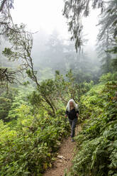 Ältere Frau wandert mit Nordic-Walking-Stöcken auf einem Hügel - TETF02483