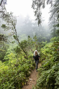Ältere Frau wandert mit Nordic-Walking-Stöcken auf einem Hügel - TETF02483