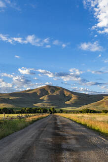 USA, Idaho, Bellevue, Dirt road leading to foothills on summer morning - TETF02486