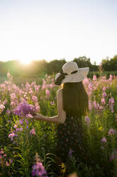 Rear view of woman in straw hat standing in meadow at sunset - TETF02497