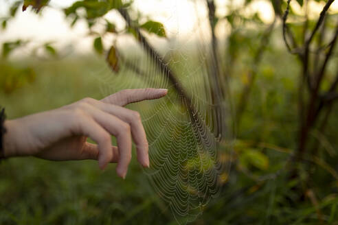 Nahaufnahme einer Frau, die mit dem Finger ein Spinnennetz berührt - TETF02509