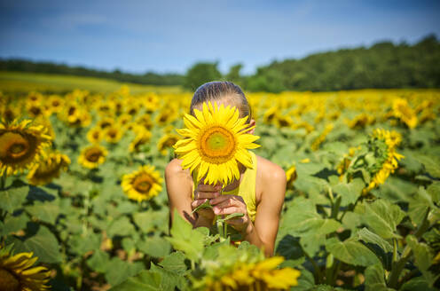 Mädchen hält Sonnenblume über Gesicht auf Feld - DIKF00797