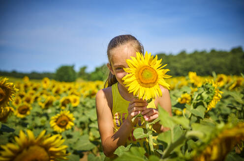 Playful girl hiding face behind sunflower in field - DIKF00798