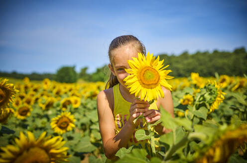 Verspieltes Mädchen versteckt Gesicht hinter Sonnenblume im Feld - DIKF00798