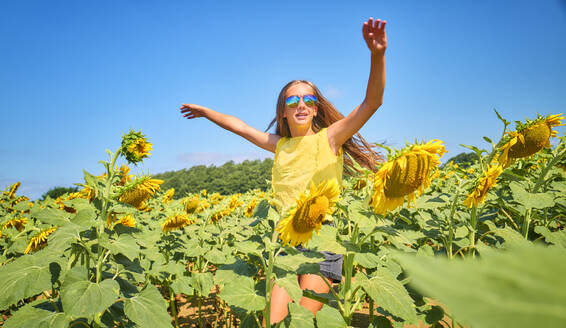 Glückliches Mädchen mit Sonnenbrille und Tanz im Sonnenblumenfeld - DIKF00822