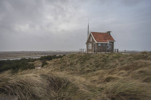 Netherlands, Friesland, Terschelling, Grass in front of secluded hut - KEBF02815